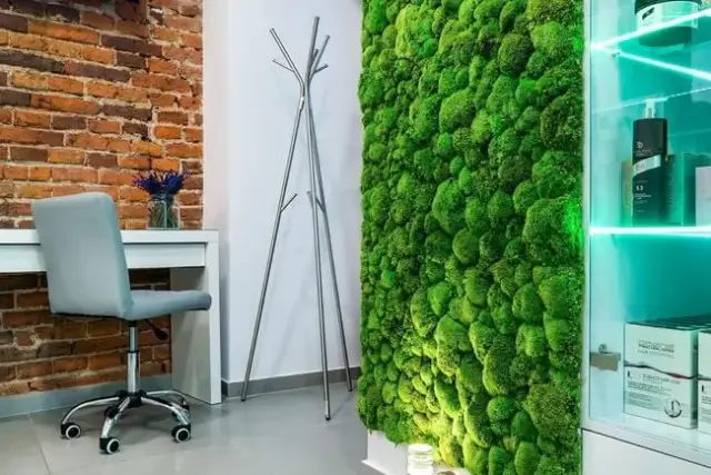 Jak dbać o mech dekoracyjny, by uniknąć błędów i zachować jego piękno na długo