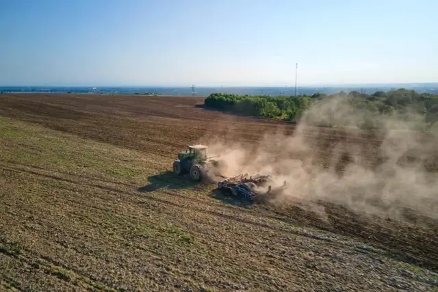 Ile siać żyta na hektar? Kluczowe wskazówki dla rolników