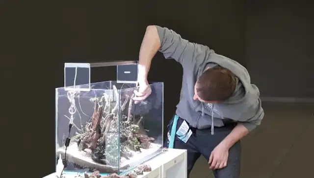 Jak przygotować akwarium dla rybek, aby uniknąć najczęstszych błędów