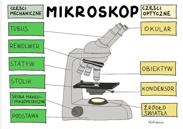 Obiektyw w mikroskopie: najważniejszy element do obserwacji preparatów