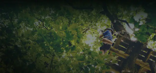 Park linowy Gibon w Przasnyszu - atrakcje, ceny i opinie odwiedzających