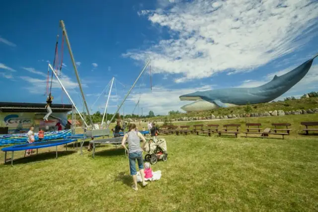 Oceanarium Władysławowo – Fascynujące życie morskie i atrakcje dla rodzin