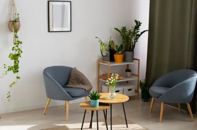 Rośliny doniczkowe, które przetrwają nawet przy małym nasłonecznieniu