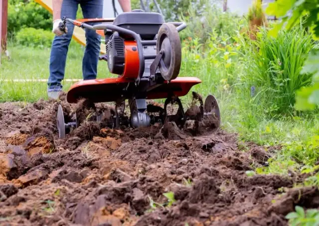 Jak prawidłowo dobrać olej do glebogryzarki spalinowej - kompletny poradnik