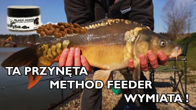 Najlepsza przynęta na karpia - uniknij błędów i złów więcej ryb