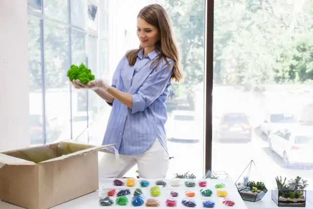 Jak wyhodować mech w doniczce - proste sposoby na piękną roślinność