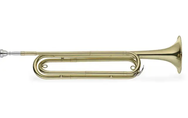 Trąbka sygnałowa w krzyżówkach – poznaj jej znaczenie i synonimy