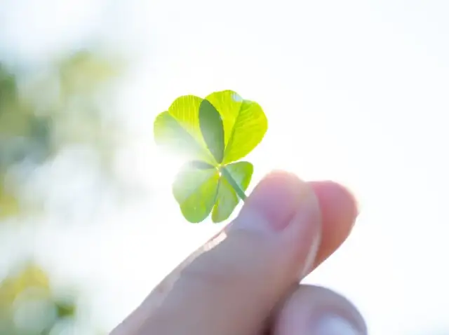 Rzeczy które przynoszą szczęście familiada – odkryj ich magiczne znaczenie