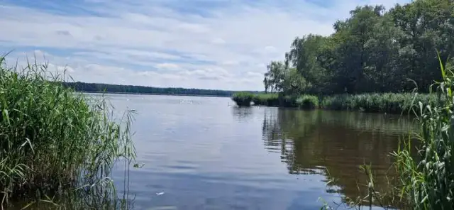 Niemodlin atrakcje, które zaskoczą każdego turystę w regionie