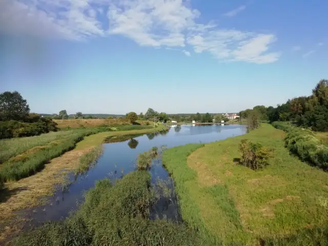 Łowisko cysterskie: najlepsze miejsce na wędkowanie w Owińskach