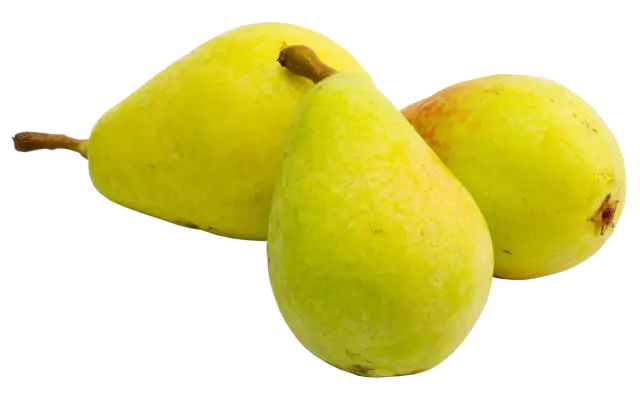 Czy gruszki są zdrowe? Poznaj 7 właściwości leczniczych tego owocu
