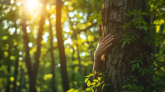 Jak przytulać drzewa? Poznaj naturalne korzyści tej praktyki