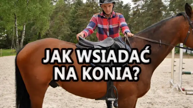 Jak wsiadać na konia: uniknij błędów i wsiądź pewnie na siodło