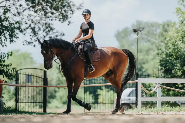 Najlepsze skrzynki jeździeckie: jak wybrać idealne rozwiązanie dla siebie