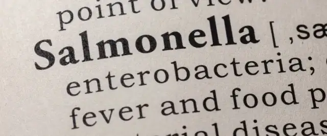 Jak zapobiec salmonellozie: 10 kluczowych zasad, które chronią zdrowie