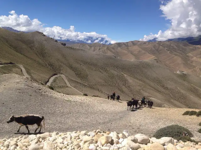 Nepal kiedy jechać: najlepszy czas na trekking i wędrówki