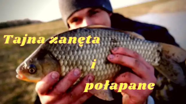 Domowa zanęta na karasia: skuteczny przepis na udane wędkowanie