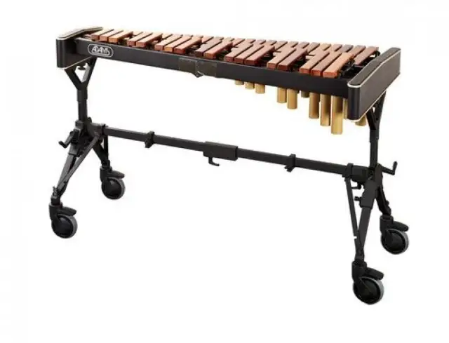  Ksylofon - jak grać, historia, rodzaje i ciekawostki tego niezwykłego instrumentu