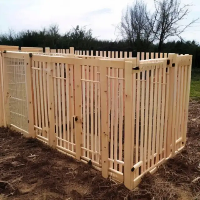 Jak zrobić kojec dla psa - proste kroki i materiały, które musisz znać