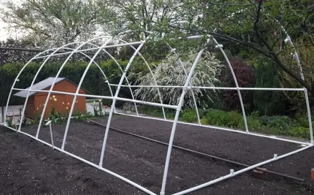 Jak zrobić folię ogrodową – prosty sposób na budowę tunelu foliowego