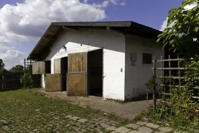 Najlepsze stadniny koni w Częstochowie - gdzie warto jeździć?