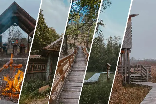 Najlepsze atrakcje w puszczy kampinoskiej, które musisz zobaczyć