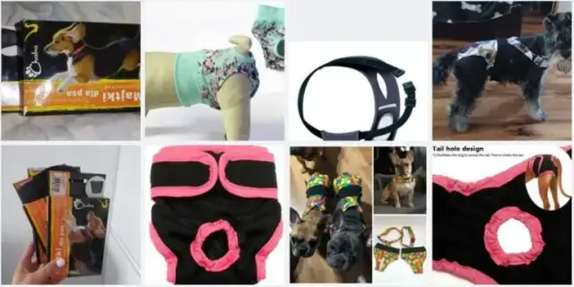 Jak uszyć majtki dla psa - proste kroki i praktyczne porady