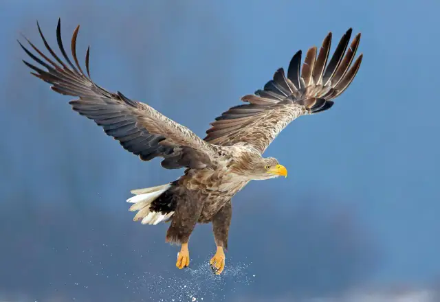 Warsztaty fotograficzne w RPA: uchwycić magię Safari w obiektywie