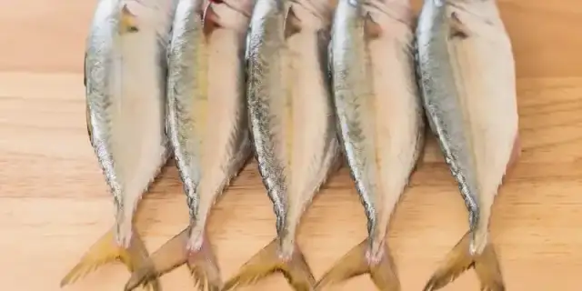 Ile kalorii ma makrela surowa, smażona i wędzona: pełne zestawienie