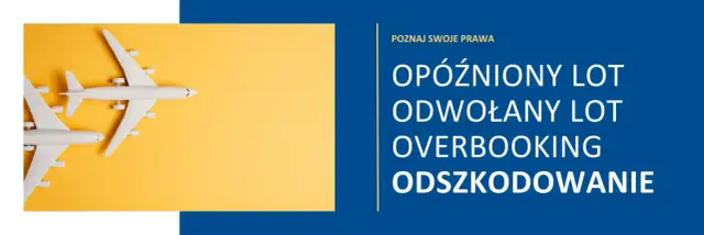 Odszkodowanie za opóźniony lot: kto odpowiada, biuro czy przewoźnik?