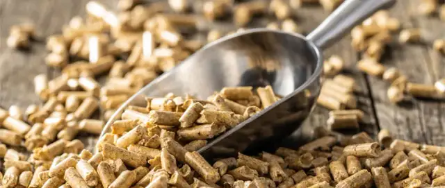 Co to jest pelet i ile kosztuje: aktualne ceny za tonę pelletu w Polsce