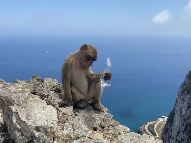 Niezapomniane atrakcje w Gibraltarze, które musisz zobaczyć