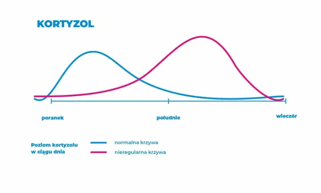 Czy kawa podnosi kortyzol? Sprawdź, jak wpływa na Twoje zdrowie