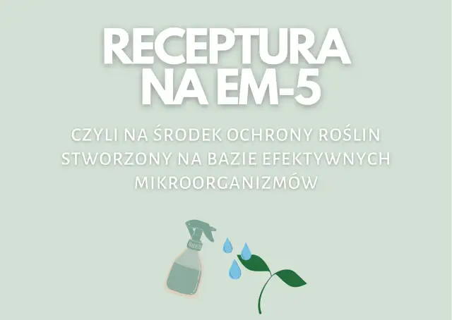 Jak samemu zrobić efektywne mikroorganizmy i poprawić plony w ogrodzie