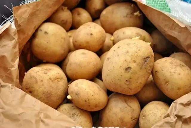 Ile kalorii ma jeden ziemniak - poznaj dokładne wartości dla każdej porcji