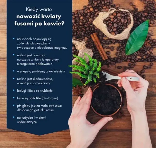 Fusy z kawy jako nawóz - skuteczne metody i najlepsze praktyki w ogrodzie