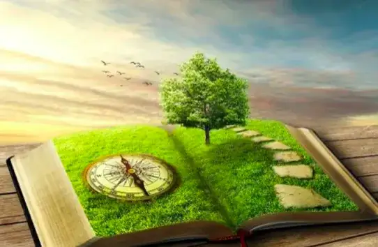 Ekologiczna wartość lojalności: jak cyfrowe platformy nagradzają odpowiedzialność?