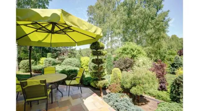 Czym wyczyścić parasol ogrodowy? Skuteczne metody i porady na dłużej.