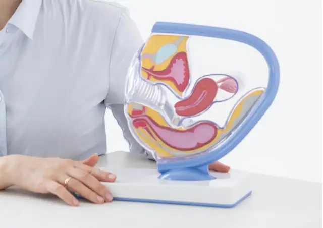 Kiedy warto udać się do ginekologa w Lublinie i jakie badania wykonać?