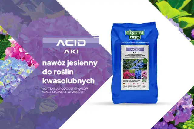 Jaki nawóz jesienny do hortensji zapewni zdrowy rozwój roślin?