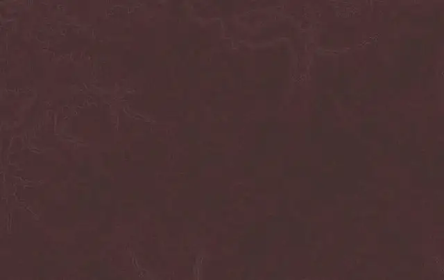 Najciekawsze atrakcje w Chojnie, które musisz zobaczyć