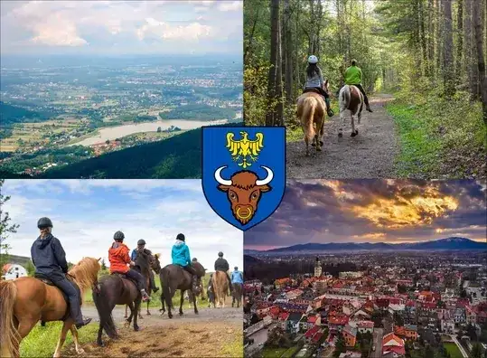 Najlepsze stadniny koni w Żywcu – usługi, opinie i lokalizacje