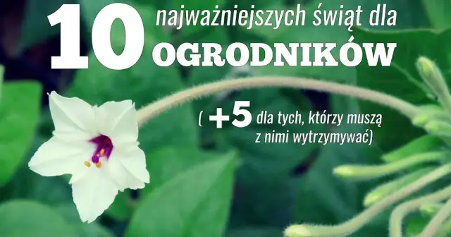 Kiedy jest dzień ogrodnika? Odkryj jego znaczenie i tradycje