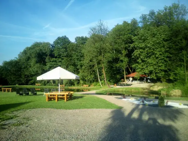 Łowisko u Mańka - idealne miejsce na wędkowanie i relaks w Gołkowicach