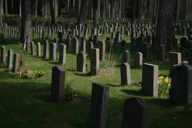 Ile kosztuje miejsce na cmentarzu na Wólce Węglowej? Ceny i opcje