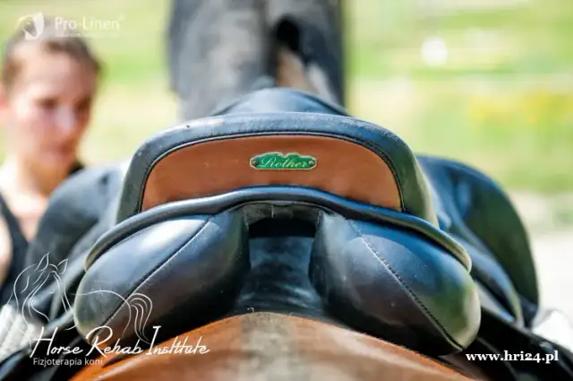 Jak zmierzyć konia pod siodło, aby uniknąć błędów w dopasowaniu