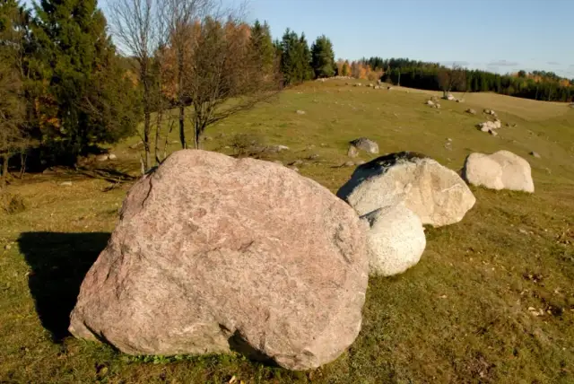 Najbliższy rezerwat przyrody – odkryj piękno natury w pobliżu