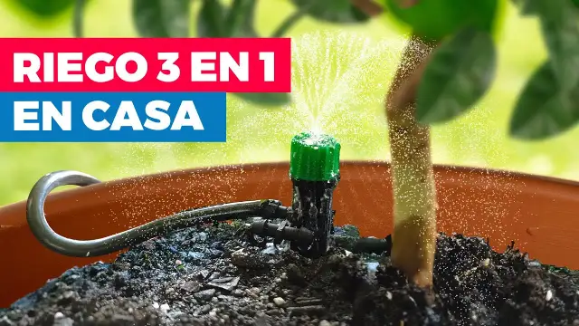 Riego macetas automático: mantén tus plantas siempre hidratadas sin esfuerzo