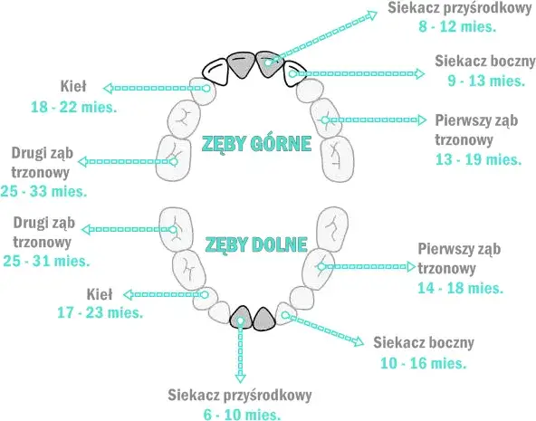 Ząbkowanie które zęby najgorsze: jak złagodzić ból u niemowląt