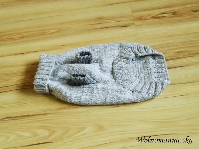 Jak łatwo zrobić ubranko dla psa na drutach – krok po kroku dla początkujących